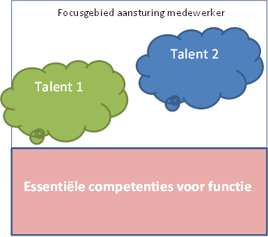 Talent en competentie naast elkaar
