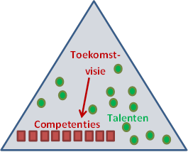 talent en competentie in organisatie